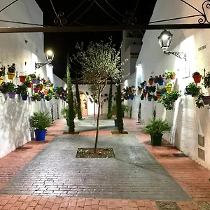 calle-san-miguel.es-andalucia.com/